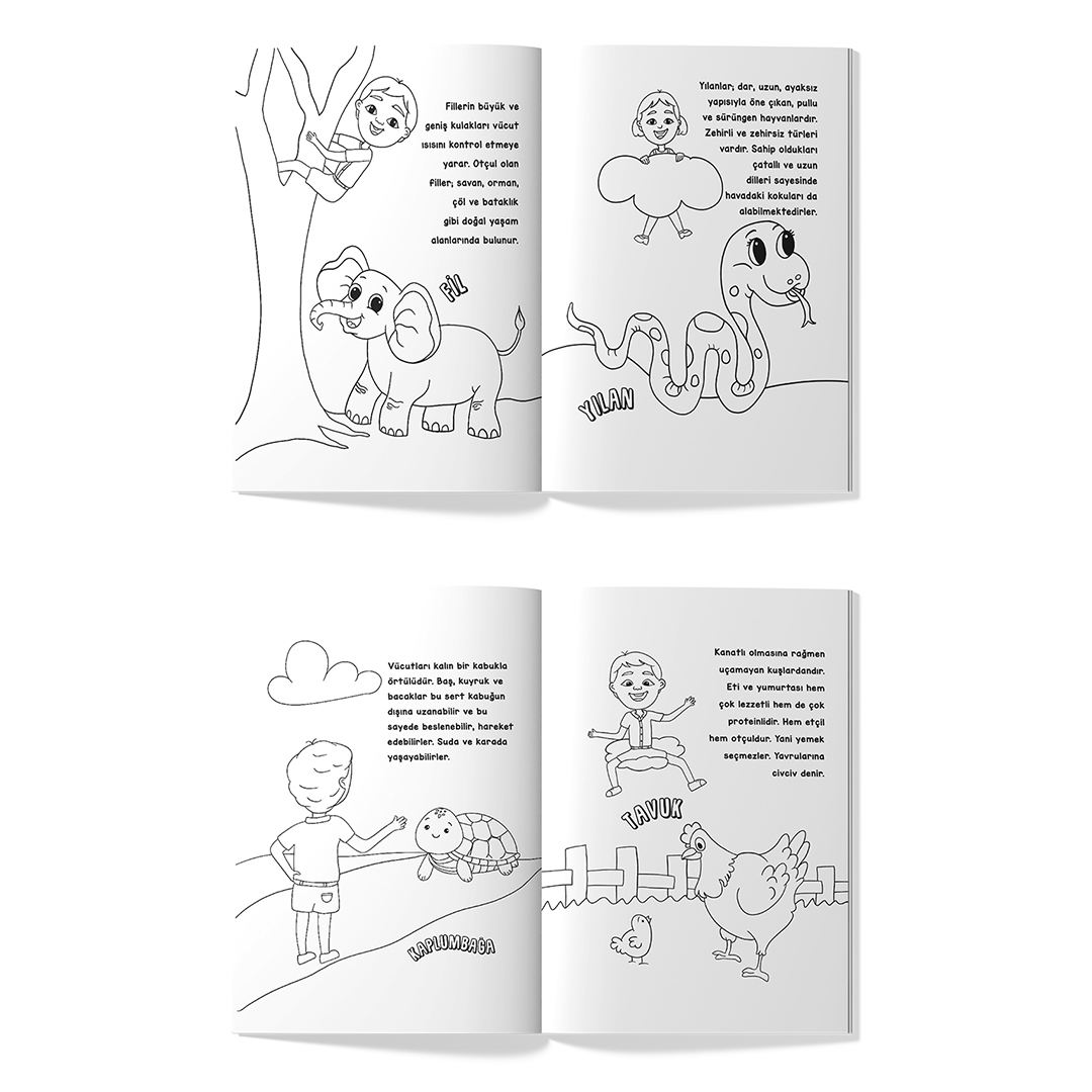 Meraklı Kaşifler Ata İle Aslı Hayvanları Tanıyor, Boyuyor Meraklı Kaşifler Ata İle Aslı Hayvanları Tanıyor, Boyuyor